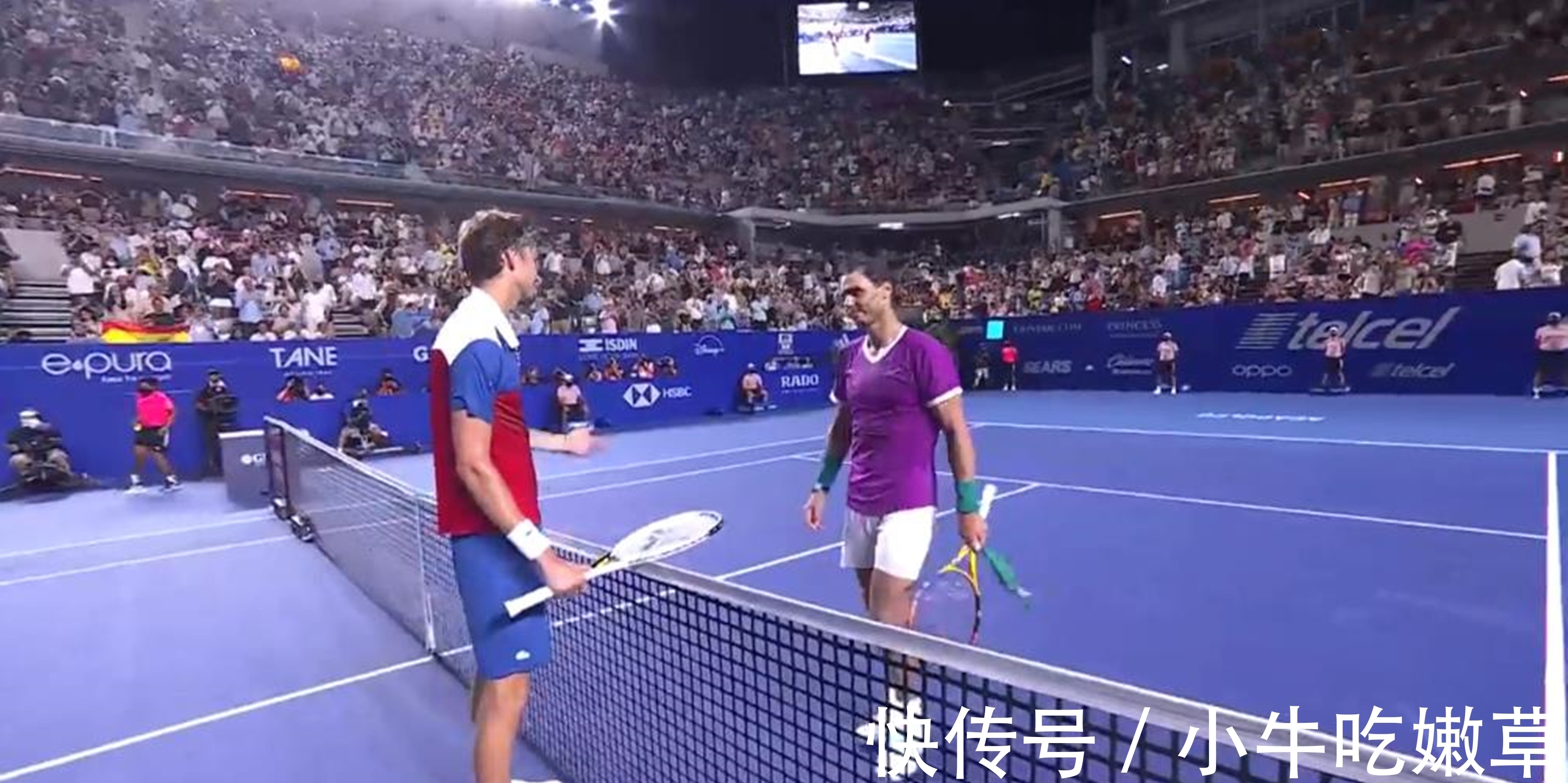 比赛中荷兰 比赛中荷兰